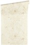 Versace Designer Barock Vliestapete Les Etoiles de la Mer 344961 Creme / Beige Metallic - Design Tapete - Luxus Tapete