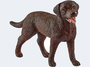 Labrador Retriever Spielfigur - Schleich 13834 