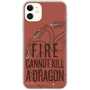 Game of Thrones - iPhone 13 Pro Handyhlle - Fire cannot Kill a Dragon 