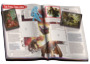 Panini Dungeons & Dragons Hybrid - ALBUM