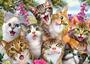 Katzen-Selfie - 500 Teile Puzzle