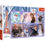 Frozen Welt der Magie - Maxi Puzzle 24 Teile