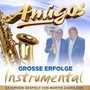 Amigos - Groe Erfolge - Instrumental [CD] 