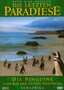 Die Pinguine vom Kap der guten Hoffnung - S�dafrika [DVD] 