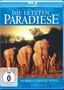Die letzten Paradiese: Namibia - Lebende W�ste, Afrika (BluRay) 