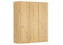 B�roschrank, Badschrank, Garderobenschrank, Spind mit vielen F�chern Kiefer mass. 90.60-45