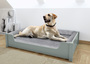 Luxuri�ses Haustierbett, Tierbett 100x60 cm, Kiefer grau V-30.32-G-100x60