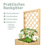 Pflanzkasten mit Rankgitter, Pflanzk�bel, Spalier f�r Rankpflanzen, Gr��e w�hlbar