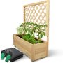 Pflanzkasten mit Rankgitter, Pflanzk�bel, Spalier f�r Rankpflanzen, Gr��e w�hlbar