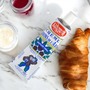 Clement Faugier Die originale Maronencreme aus der Tube 220 Gramm