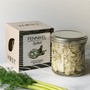 HST Syltet FENNIKEL: Eingelegter Fenchel in s��-saurer Marinade mit Dill