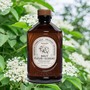 Bacanha Sirop: Bio-Holunderbl�ten-Sirup - 400 ml, franz�sisches Bio-Produkt