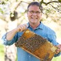 Echter Deutscher Honig Sommertracht 500g Glas - Wanderimkerei Martin Sester