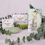 BOTANIC SPA Lippenbalsam Pfefferminz-Handgefertigt in umweltfreundlicher Papierh�lse
