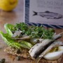 FANGST BRISLING No. 4 - Die nordische Sardine mit Piment & Nelken