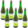 Val de Rance Cidre de Bretagne Biologique 6 x 0,75L - Bio Apfelwein aus Frankreich