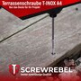 Terrassenschraube T-INOX Edelstahl A4 mit TX Antrieb, Vierkantgewinde, Cutspitze