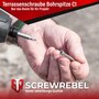 Profilbohrschraube mit Bohrspitze Edelstahl C1 geh�rtet - 200 St�ck Terrassenschrauben f�r Aluminiumunterkonstruktionen TX25 inklusive Langschaft-Edelstahlbit