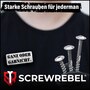 SCREW REBEL Tellerkopfschraube Edelstahl geh�rtet martensitisch mit ETA Zulassung f�r Solar und Photovoltaik Montagen, Innensechsrund TX 40 Antrieb 
