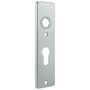 Kurzschild f�r Kastenschl�sser, Entfernung 55 mm, Alu F1, 40x165x7 mm, Lochung f�r Profilzylinder und Dr�cker 