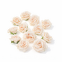 12 Rosenbl�ten 5 cm Schaumrosen Rosenk�pfe Foam Bl�tenk�pfe Streudeko Basteln