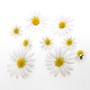 200 Margeritenk�pfe 2cm +4cm Streudeko Blume Margerite k�nstlich Seidenblumen 