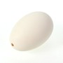 12 G�nseeier ausgeblasen Eier Gans ca. 8cm Dekoeier Ostereier Natureier