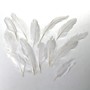 12 Federn wei� ca 16-18cm  Dekofedern Streufedern Bastelfedern G�nsefedern