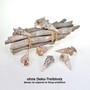 6-8 Muscheln Schnecke Nodolosum Maritim Deko ca. 7cm - 10cm