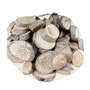 1kg Astscheiben Holzscheiben Baumscheiben 3-8cm white wash Hochzeit Deko Basteln