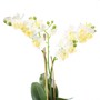 Phalaenopsis Orchidee 2 Rispen creme wei� k�nstlich H 60cm im Topf Kunstblume