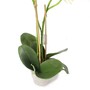 Phalaenopsis Orchidee 2 Rispen creme wei� k�nstlich H 60cm im Topf Kunstblume