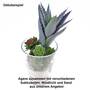 Agave H25cm Kunstblume Kunstpflanze k�nstlich gr�n Kaktus Sukkulente