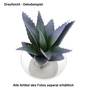 Agave H25cm Kunstblume Kunstpflanze k�nstlich gr�n Kaktus Sukkulente