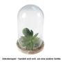 Glas Glocke Haube ca. H16cm 12cm Glockenglas Glasglocke Holz Glashaube Glassturz