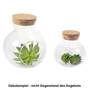 Terrarium H10cm 10cm offen Glasball Kugel Glas klar Korken Ballglas Pflanzgef��