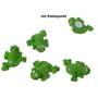 36 Fr�sche gr�n 2,9x2cm mit Klebepunkt Frosch Polyresin Klebefrosch Streuteile