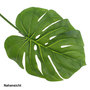 Philodendron Split-Philo Dschungel Tropic Blatt ca30 L80cm Baumfreund k�nstlich