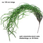 Seegras Dschungelgras H�nger ca125cm Gras H�ngepflanze Kunstpflanze Deko Pflanze