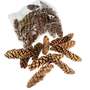 25 Strobuszapfen 16-25cm natur Zapfen Kiefer Dekozapfen Baumzapfen Tannenzapfen 
