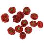 100g Mini K�rbisse rot getrocknet natur 2-6cm K�rbis Putkha Herbst Halloween Deko
