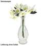 Minivase Flasche ca 16,5x6cm schlanke Bauchvase Oliven Mini Vase f. Etikett