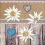 20 Servietten 33x33cm Edelwei� Holz Herz Spitze kariert Papierservietten Oktoberfest 