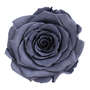 Infinity Rose L 5cm konserviert stabilisiert haltbar Rosenkopf ewige Rosenbl�te