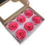 Infinity Rose XL 6-7cm konserviert stabilisiert haltbar Rosenkopf ewige Bl�te