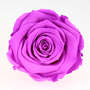 Infinity Rose XL 6-7cm konserviert stabilisiert haltbar Rosenkopf ewige Bl�te