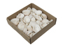 800g Muscheln natur wei� ca. 2-8cm mix 