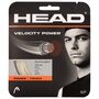 12m HEAD Velocity MLT Power Tennissaite Set Multifilament Power Spin