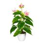 Knstliche Anthurie 40 cm - Elegante Flamingoblume im weien Topf, verschiedene Farben