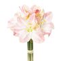 2er Set knstliche Amaryllis 32 cm in Wei, Rosa und Pink - Winterblher Deko
